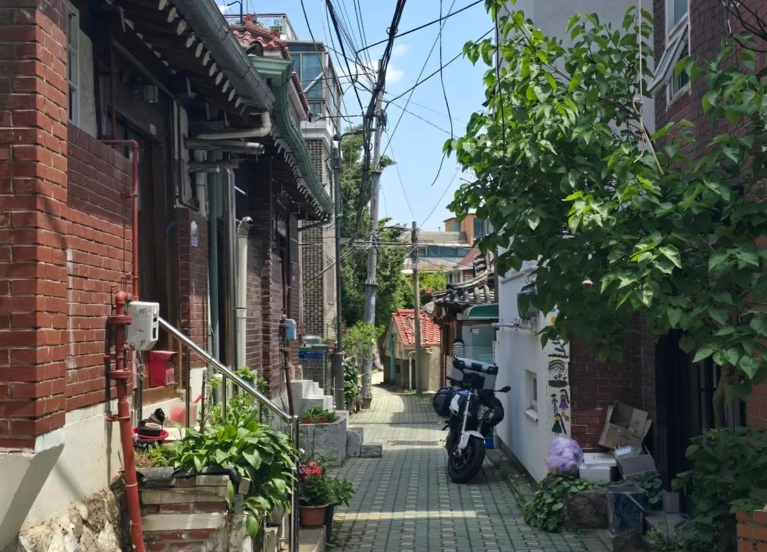 Turtle Stay Seoul -Trip & Business Lejlighed